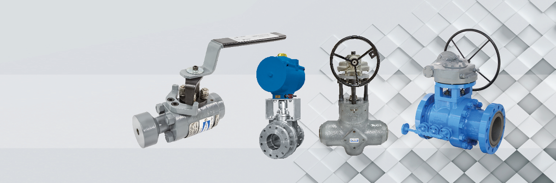 Severe Service Valve For High Performance Applications